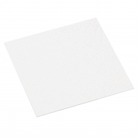 Плита Armstrong BioGuard Plain Board 15 мм (600 х 600 мм) для подвесного потолка