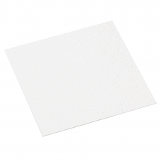 Плита Armstrong BioGuard Plain Board 15 мм (600 х 600 мм) для подвесного потолка Плита Armstrong BioGuard Plain Board 15 мм (600 х 600 мм) для подвесного потолка